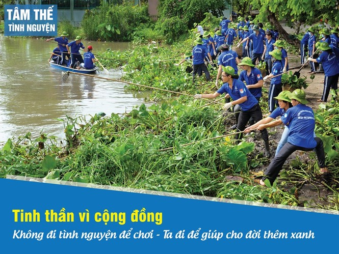 Thế nào là tình nguyện chuẩn? - ảnh 1